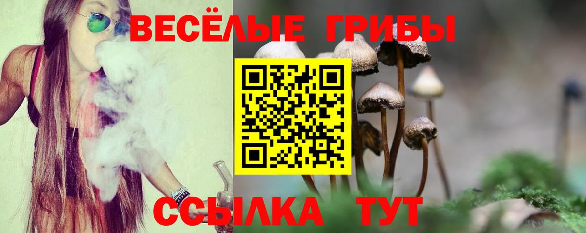 Галлюциногенные грибы прущие грибы Великий Устюг